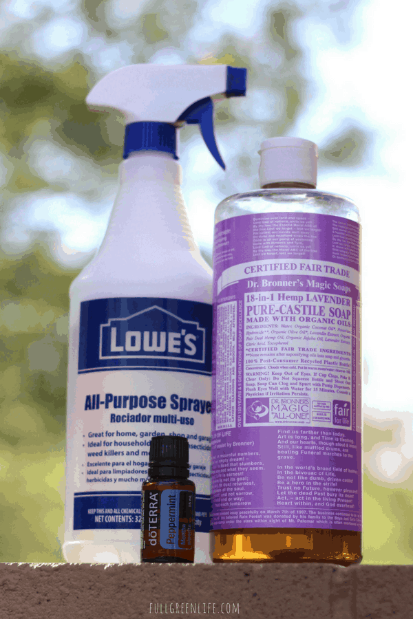 aphid spray for roses