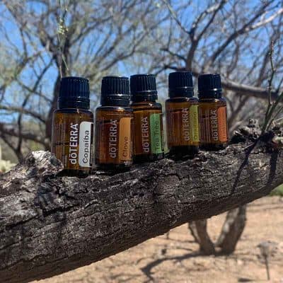 5 Immunity-Boosting Essential Oils