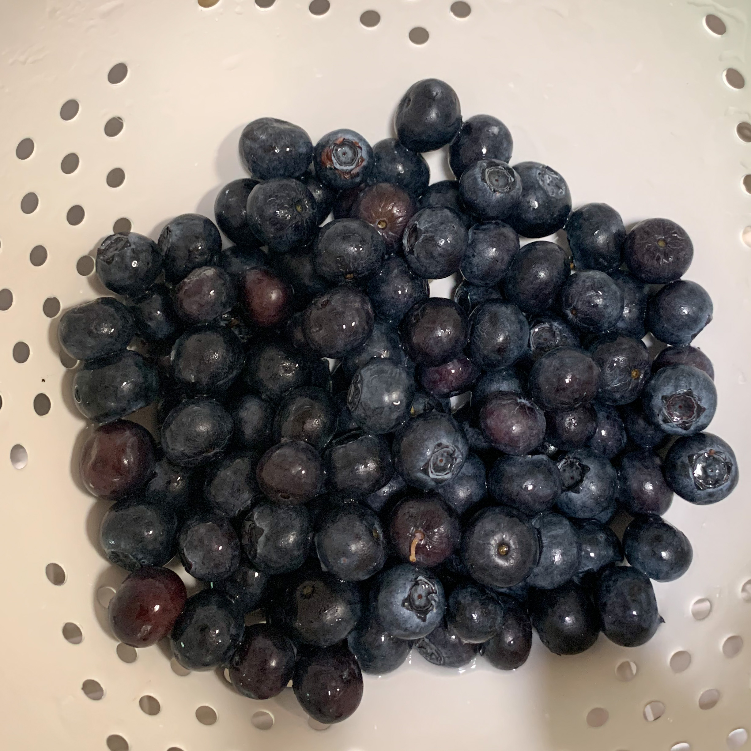 cleaned blueberries in a colander